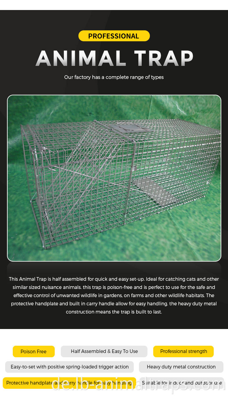 Bird Aviaries for Sale